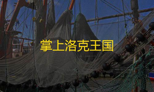 和平精英直装免费掌上洛克王国